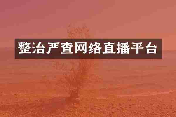 整治严查网络直播平台