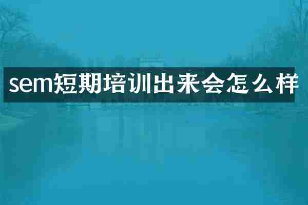 sem短期培训出来会怎么样