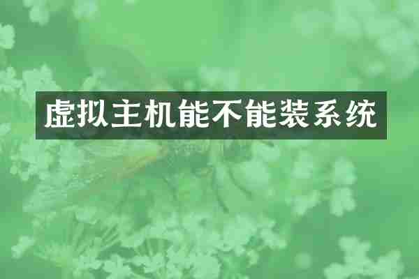 虚拟主机能不能装系统
