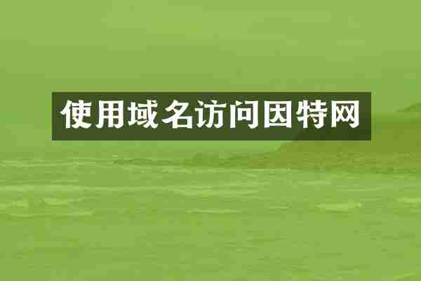 使用域名访问因特网