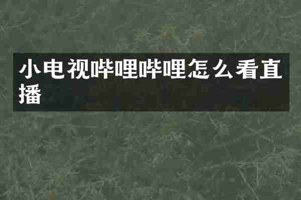 小电视哔哩哔哩怎么看直播