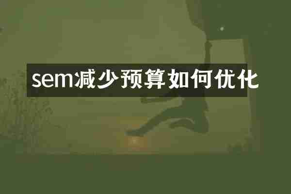 sem减少预算如何优化