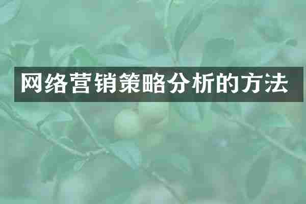 网络营销策略分析的方法