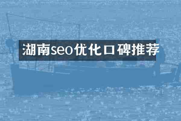 湖南seo优化口碑推荐