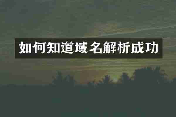 如何知道域名解析成功