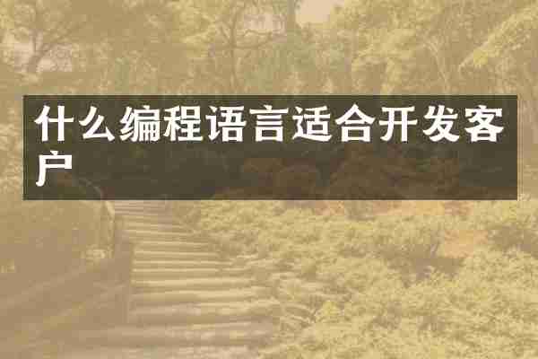 什么编程语言适合开发客户