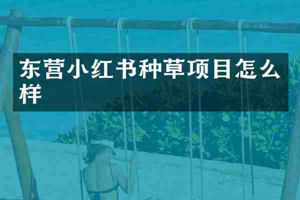 东营小红书种草项目怎么样