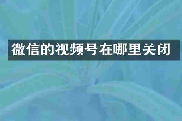 微信的视频号在哪里关闭