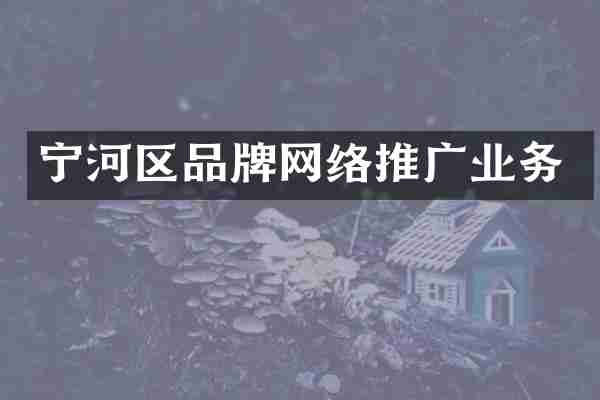 宁河区品牌网络推广业务