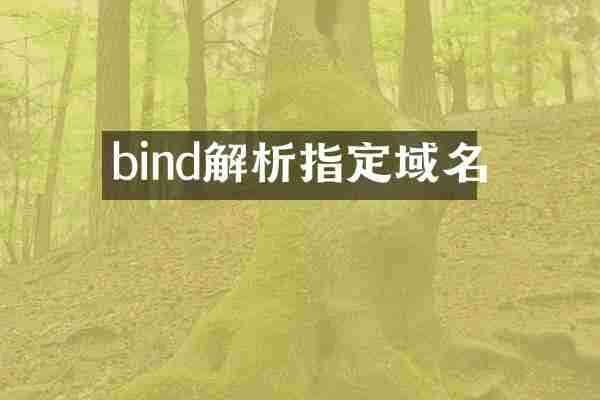 bind解析指定域名