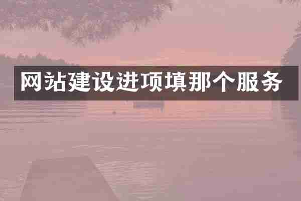 网站建设进项填那个服务