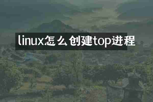 linux怎么创建top进程