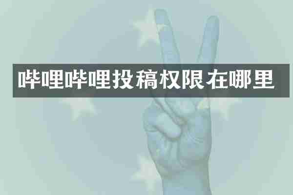 哔哩哔哩投稿权限在哪里