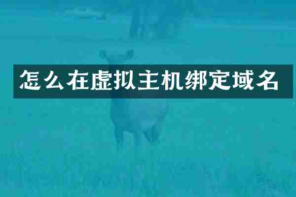 怎么在虚拟主机绑定域名