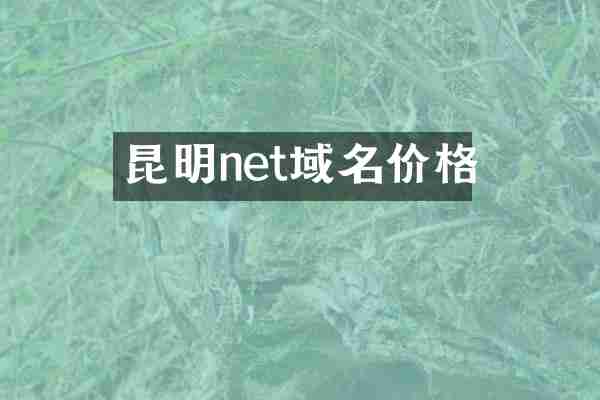昆明net域名价格