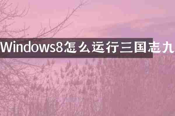 Windows8怎么运行三国志九