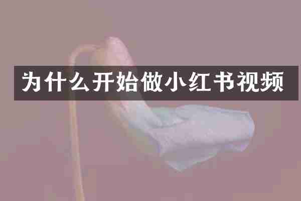 为什么开始做小红书视频