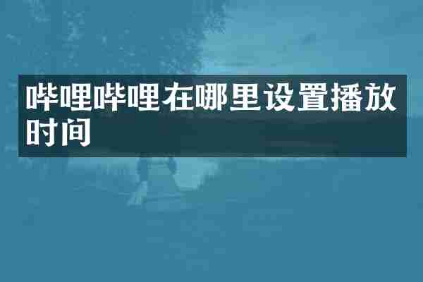 哔哩哔哩在哪里设置播放时间