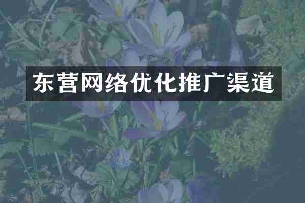东营网络优化推广渠道