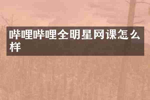 哔哩哔哩全明星网课怎么样