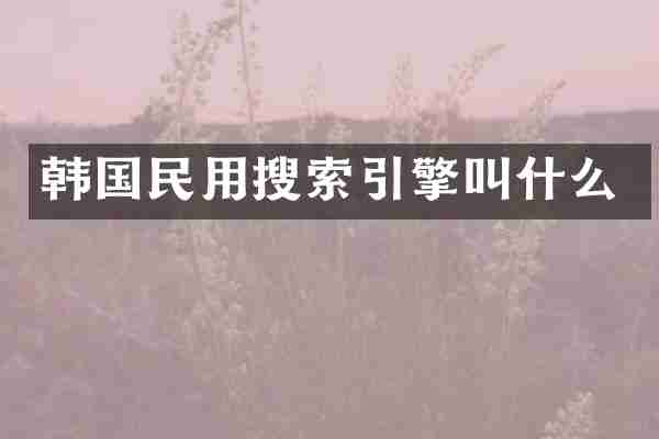 韩国民用搜索引擎叫什么
