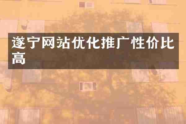 遂宁网站优化推广性价比高