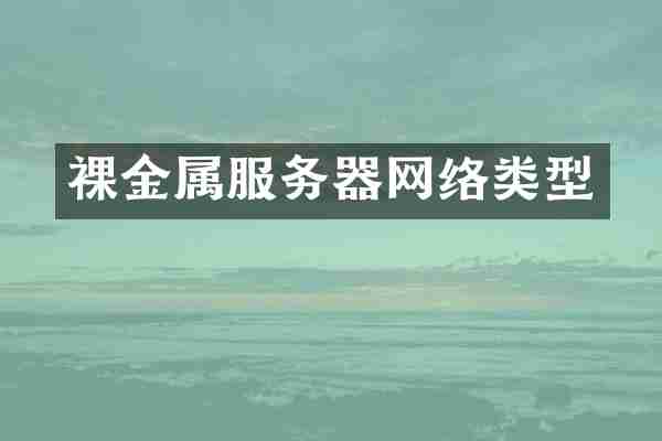 裸金属服务器网络类型