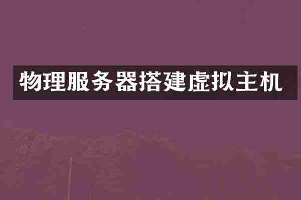 物理服务器搭建虚拟主机