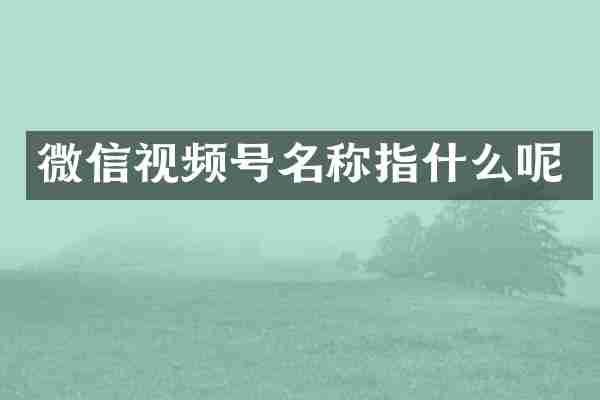 微信视频号名称指什么呢
