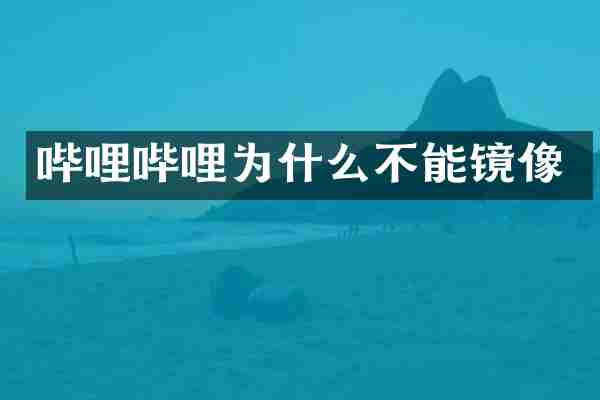 哔哩哔哩为什么不能镜像
