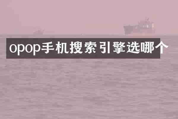 opop手机搜索引擎选哪个
