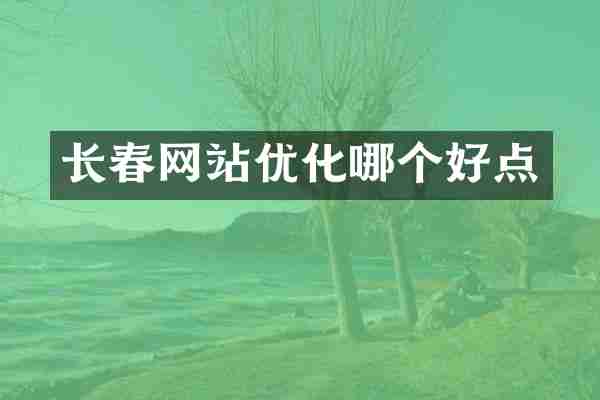 长春网站优化哪个好点