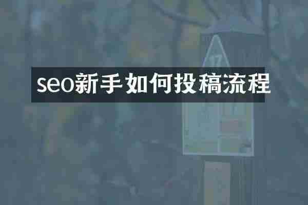 seo新手如何投稿流程