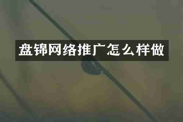 盘锦网络推广怎么样做