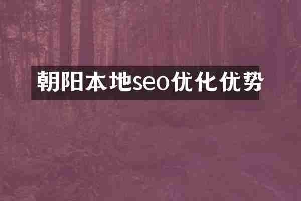 朝阳本地seo优化优势