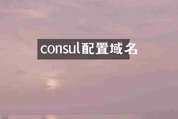 consul配置域名