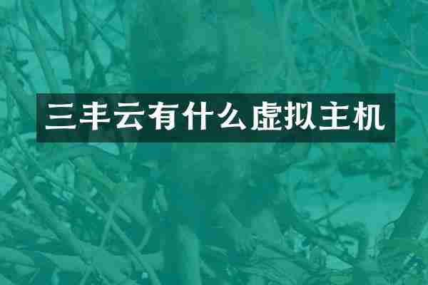 三丰云有什么虚拟主机
