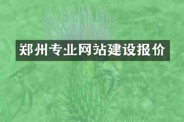 郑州专业网站建设报价