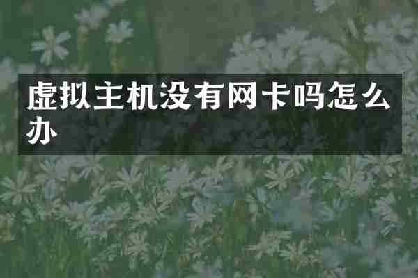 虚拟主机没有网卡吗怎么办