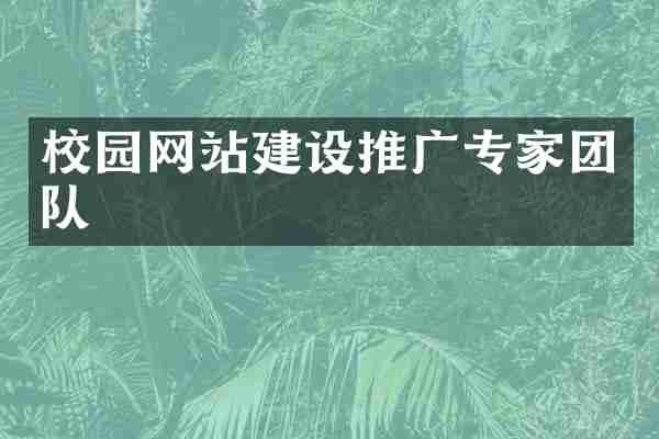 校园网站建设推广专家团队