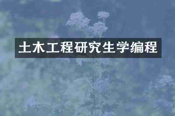 土木工程研究生学编程