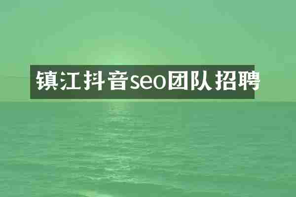 镇江抖音seo团队招聘