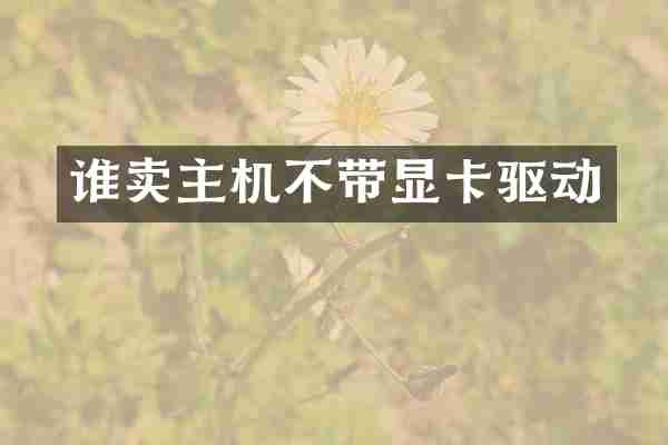 谁卖主机不带显卡驱动