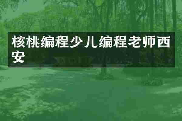 核桃编程少儿编程老师西安