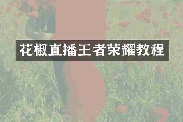 花椒直播王者荣耀教程