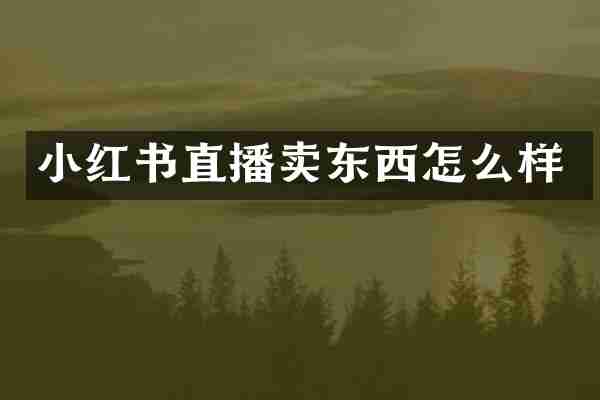 小红书直播卖东西怎么样