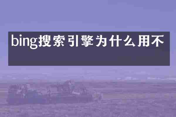 bing搜索引擎为什么用不了