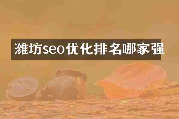 潍坊seo优化排名哪家强