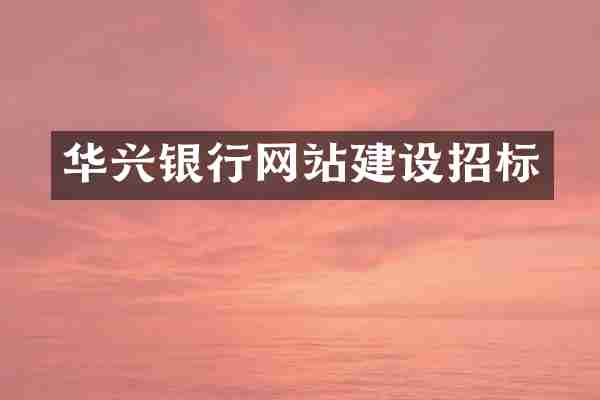 华兴银行网站建设招标