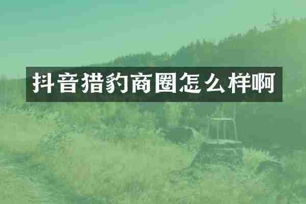 抖音猎豹商圈怎么样啊